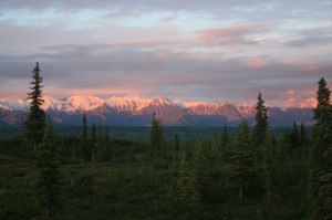 sunrise "This should be a good place to set up camp"