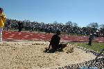 Fred Jones in the long jump