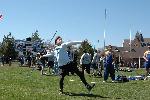 Tim Bassell--Javelin