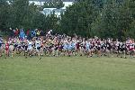 Josh Kennedy and Nate Brigham lead the way