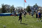 Tim Bassell--Javelin