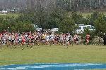 300 meters in
