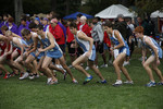 Jeff Ragazzini
Ryan Lena
Jesse Faller
Kyle Marks
Connor Rose
Chris Brunnquell