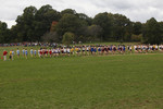 Jeff Ragazzini
Ryan Lena
Jesse Faller
Kyle Marks
Connor Rose
Chris Brunnquell