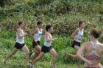 Brian McNamara, Josh Kennedy, Matt Lacey, Nate Brigham
