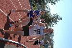 Brian McNamara, Tracknamara