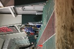 IMG 2231