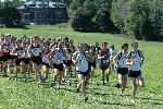 Matt Lacey, Matt Fortin, in a crowded start