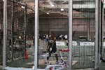 IMG 1714