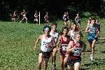Matt Lacey, Josh Kennedy, and Matt Fortin
