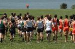 Team Race Start