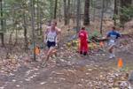 bromka in the woods